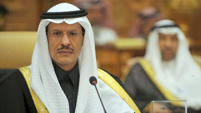Saudi energy ministry to assist development of mega economic zone Neom