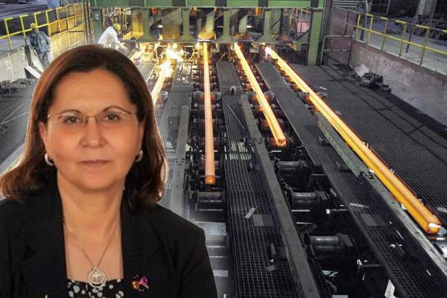 Egyptian Steel Industry Association: The individual sector represents 60% of steel consumption