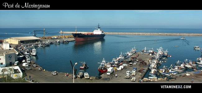 Tosyali Algeria exports 10,000 tons of rebar to the United States
