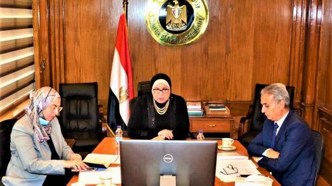 Egypt cancels protection duties on imports of billet, iron, and aluminum products