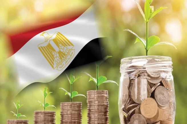 Egypt moves to amend carbon limits to enhance competitiveness
