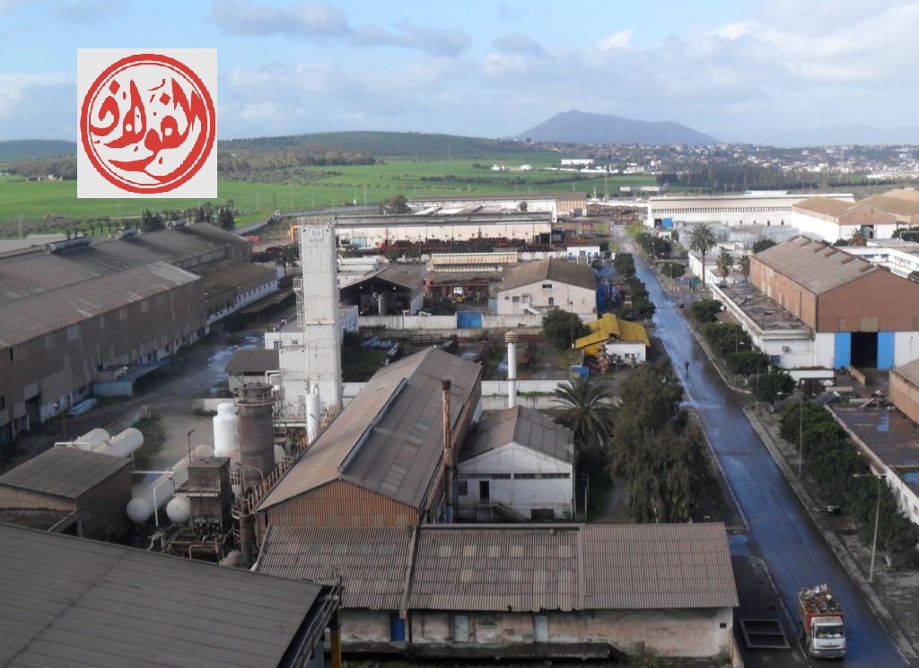 Tunisia : Ministry of Economy applies for a loan from the European Bank for the benefit of ELFOULADH company