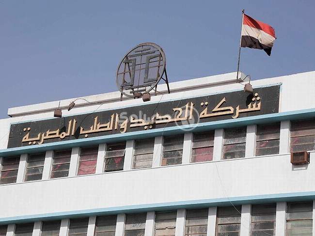Hadisolb's loss narrows to EGP 437m in H1-20/21 initial results