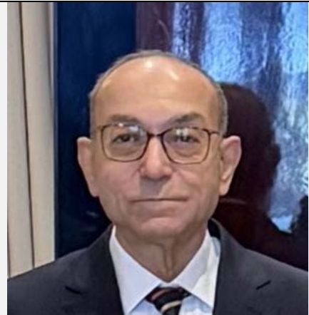 Mr. Mohammed Fouad Abdel Mageed Imam