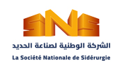 National Steel Holding Company (SNS)